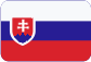 Componenti epossidici Slovensky